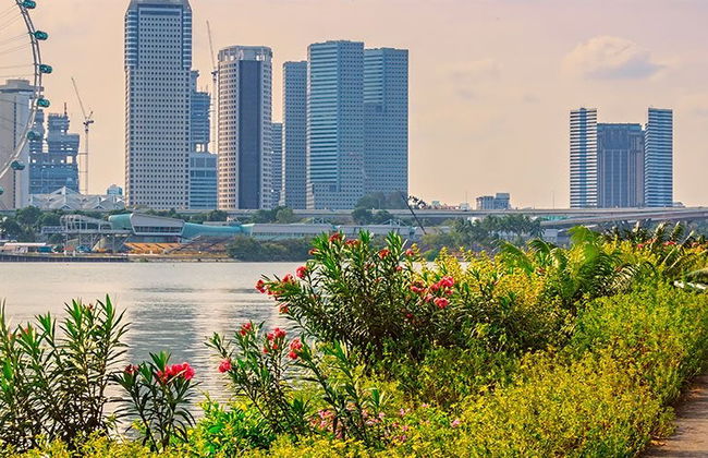Singapore Private Tour - Photo 2