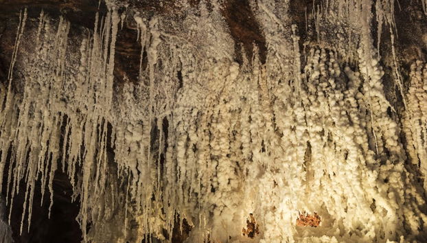 Cardona & Montserrat Small Group Day Trip - Photo 3