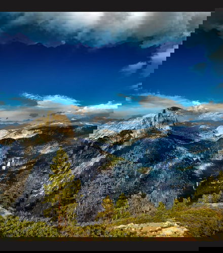 Foto - Escursione al Parco Nazionale di Yosemite