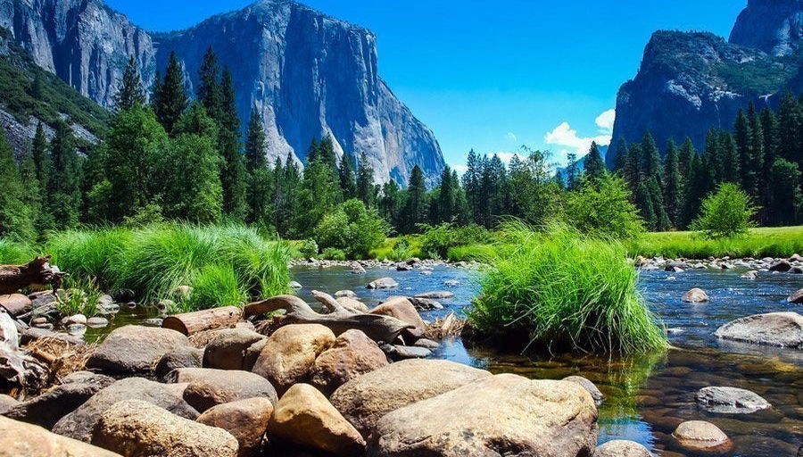 Excursión a Yosemite - Foto 1