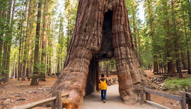 Excursión a Yosemite - Foto 2