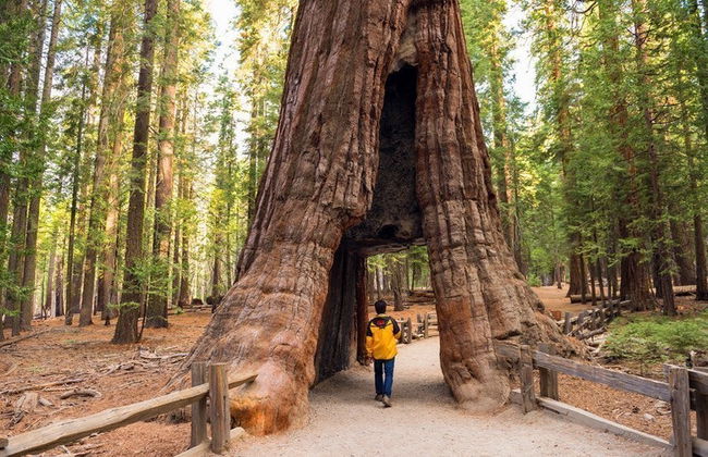 Excursão a Yosemite - Foto 2