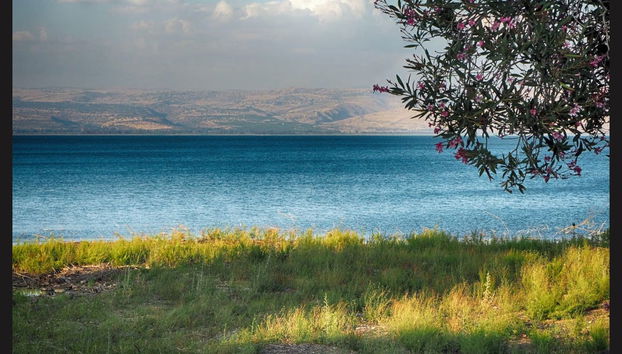 Nazareth, Tiberias & Sea of Galilee Trip - Foto 4
