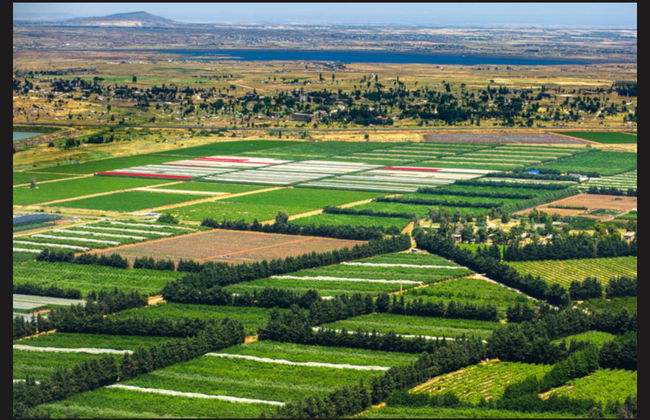 Nazareth, Tiberias & Sea of Galilee Trip - Foto 4