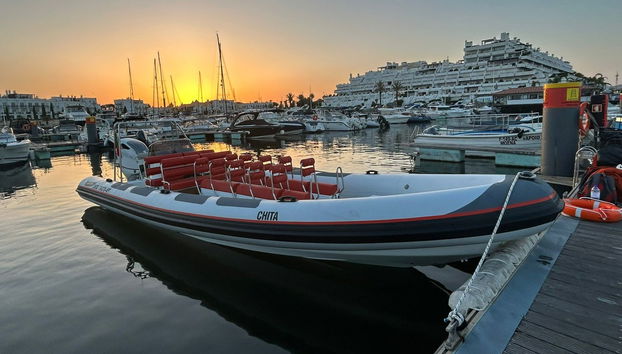 Vilamoura Dolphin Spotting - Foto 2