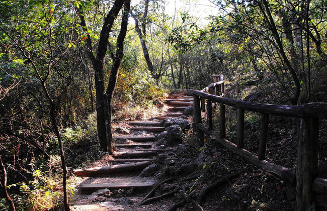 La Huasteca + Chipinque Park Tour - Photo 7