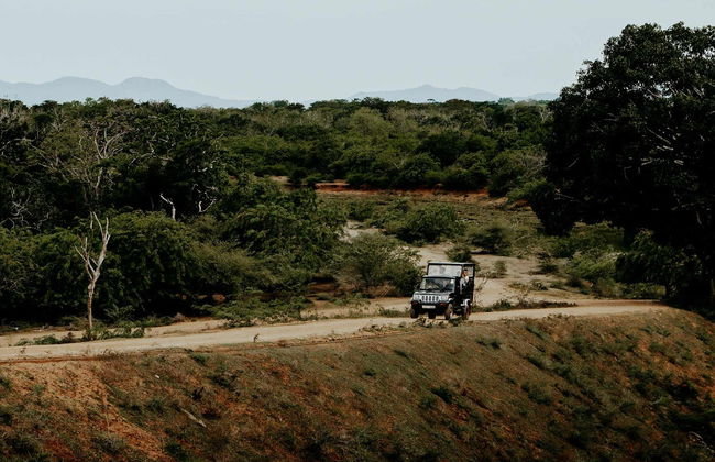 Yala National Park Private Safari - Photo 2
