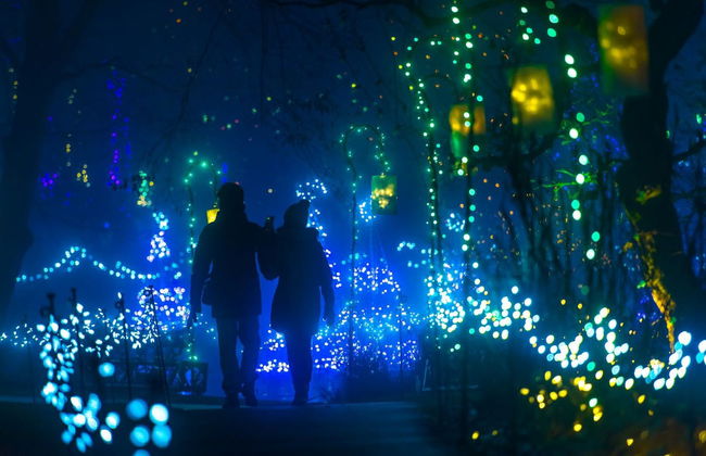 Vancouver or Victoria Christmas Tour - Foto 6