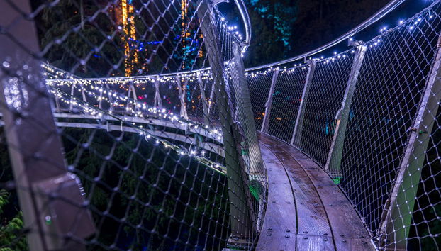 Visite sur le thème de Noël à Vancouver ou Victoria - Photo 2