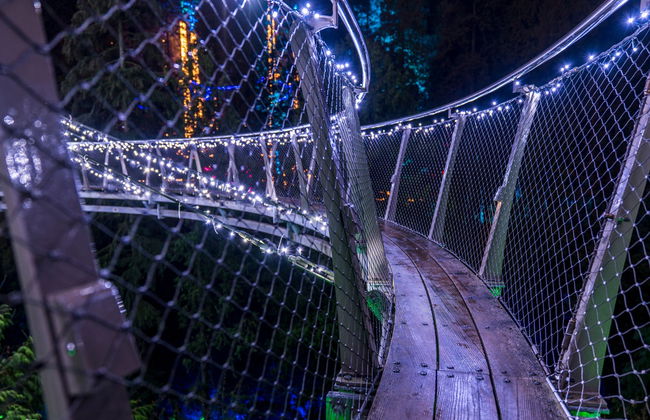 Tour natalizio di Vancouver o Victoria - Foto 2