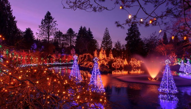 Vancouver or Victoria Christmas Tour - Foto 5