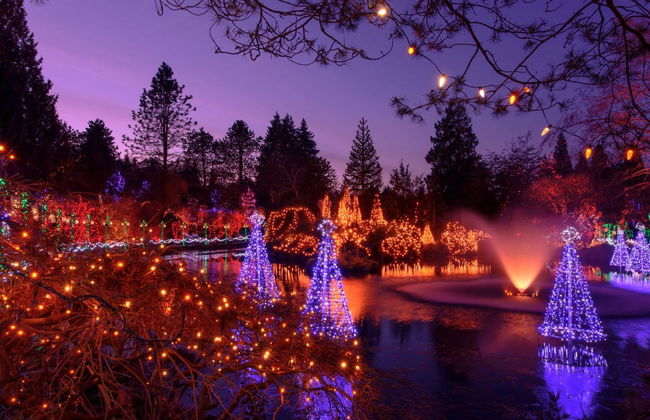 Vancouver or Victoria Christmas Tour - Foto 5