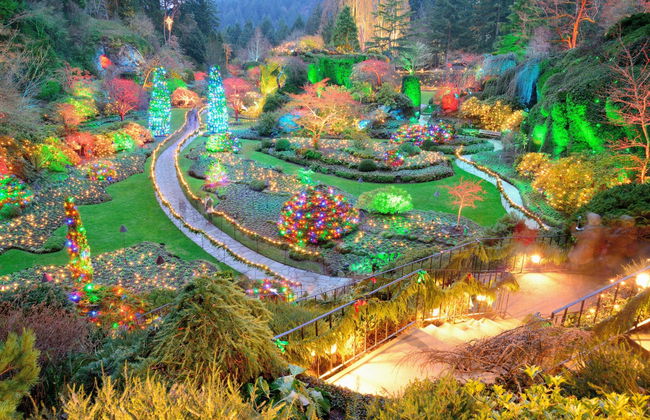 Tour natalizio di Vancouver o Victoria - Foto 5