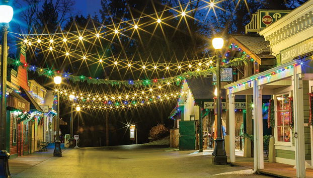 Vancouver or Victoria Christmas Tour - Foto 4