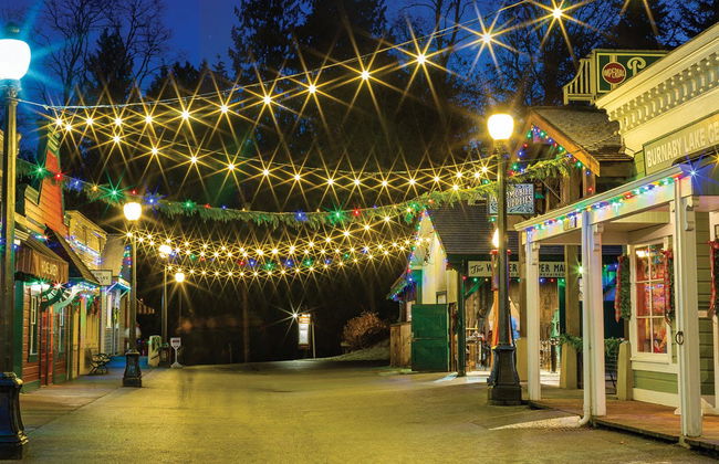 Vancouver or Victoria Christmas Tour - Foto 4