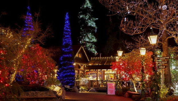 Visite sur le thème de Noël à Vancouver ou Victoria - Photo 4