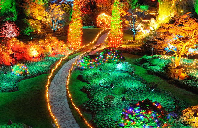 Tour navideño por Vancouver - Foto 3
