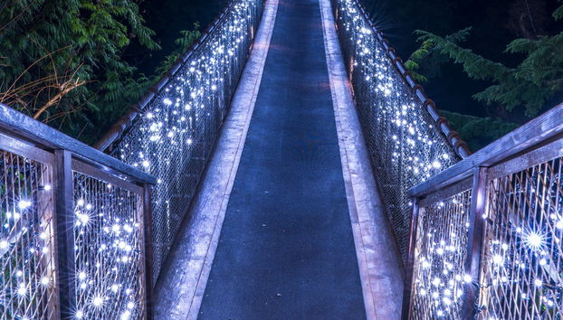 Visite sur le thème de Noël à Vancouver ou Victoria - Photo 3