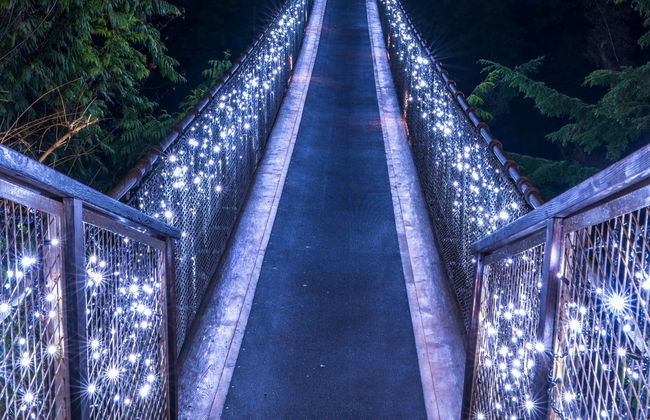 Tour natalizio di Vancouver o Victoria - Foto 3