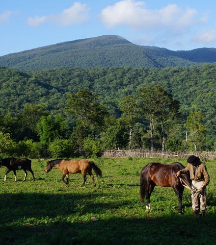 Foto de Paseo a caballo por las Yungas + Asado argentino