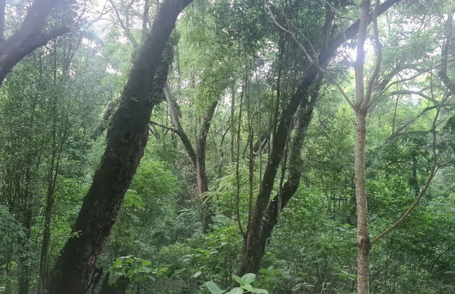 Yungas Horseback Ride + Argentinian Barbecue - Photo 5