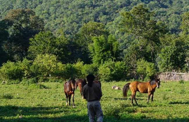 Yungas Horseback Ride + Argentinian Barbecue - Photo 8