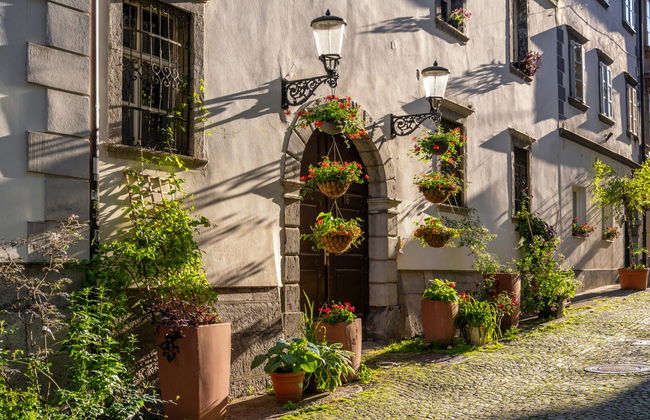 Visite guidée dans Ljubljana - Photo 3