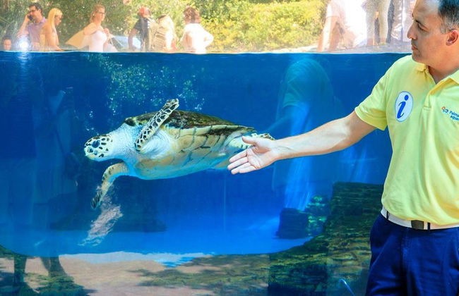 Palma Aquarium - Entrada - Foto 10