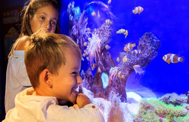 Palma Aquarium - Entrada - Foto 11