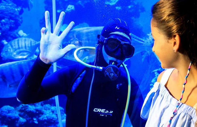 Palma Aquarium - Entrada - Foto 12