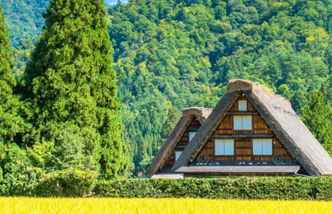Takayama & Shirakawago Day Trip - Photo 5