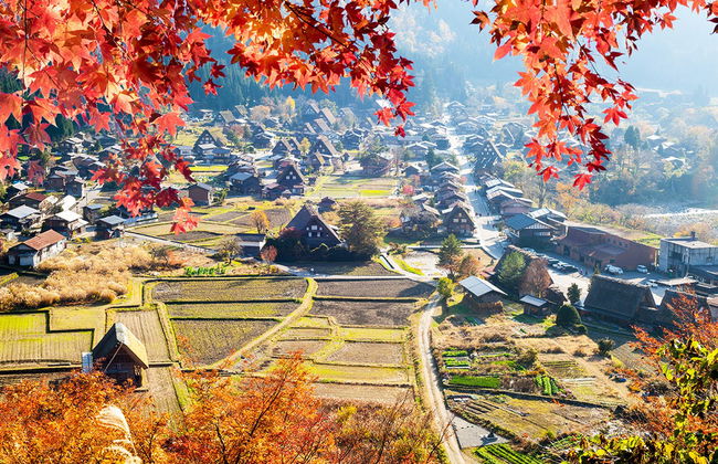Takayama & Shirakawago Day Trip - Photo 2