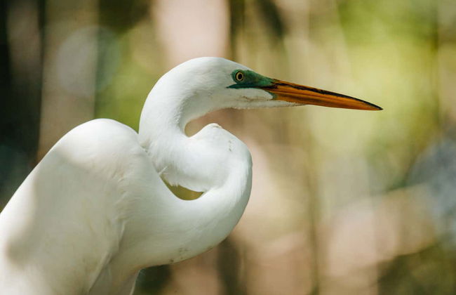 Los Haitises National Park Day Trip - Photo 6