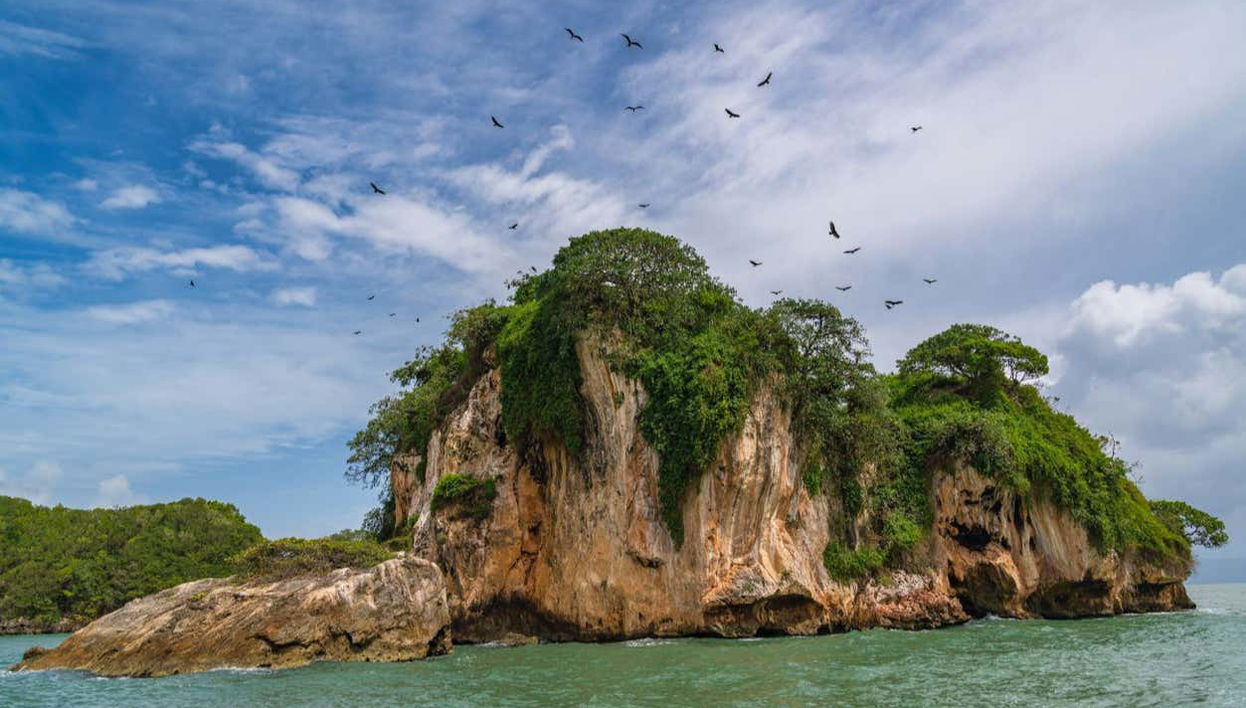 Los Haitises National Park Day Trip - Photo 1