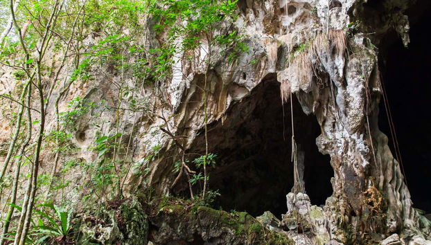 Los Haitises National Park Day Trip - Photo 4