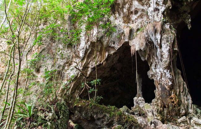 Los Haitises National Park Day Trip - Photo 4