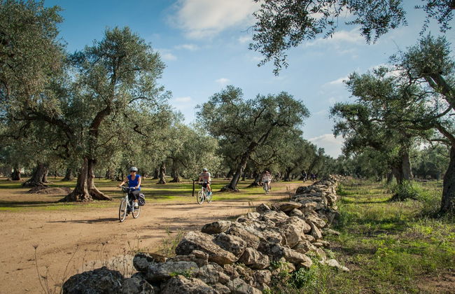 Tour en bicicleta por Alezio, Tuglie y Porto Selvaggio - Foto 4