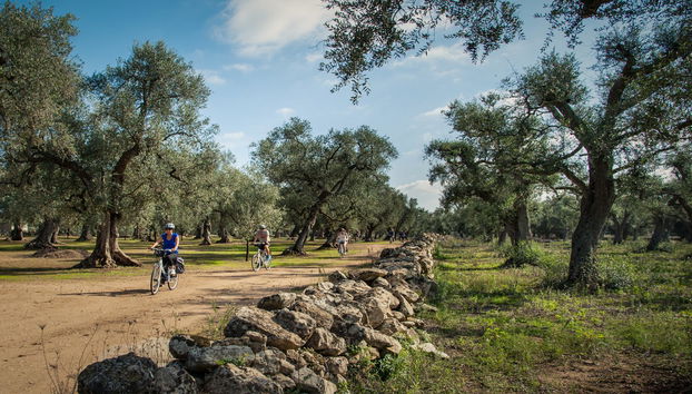 Balade à vélo dans Alezio, Tuglie et Porto Selvaggio - Photo 5