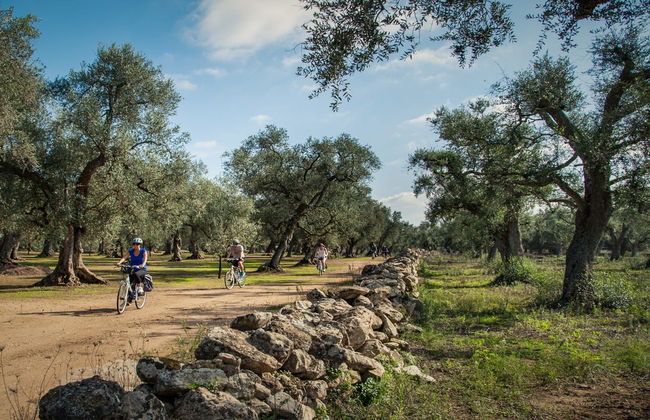Balade à vélo dans Alezio, Tuglie et Porto Selvaggio - Photo 1