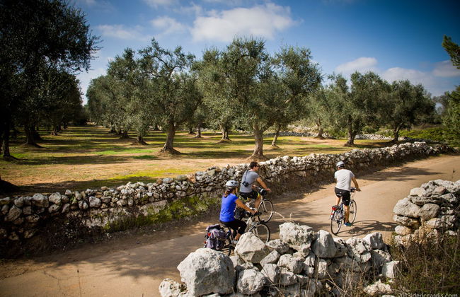 Tour en bicicleta por Alezio, Tuglie y Porto Selvaggio - Foto 2