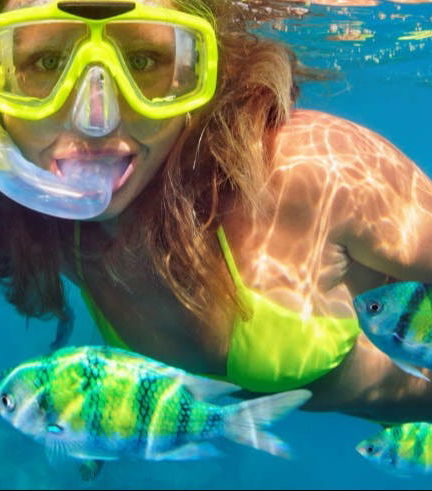 Foto - Snorkeling a Ponta de São Lourenço