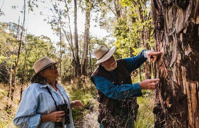 Canberra Wildlife Watching Tour - Photo 6