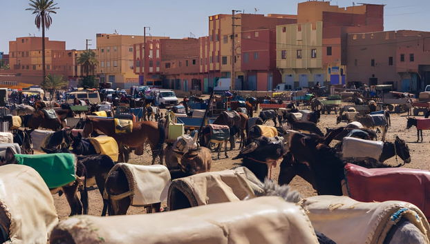 Private Day Trip to Rissani - Photo 4