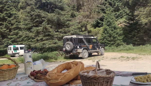 Tour en 4x4 por el Parque Nacional Sierra de las Nieves - Foto 4