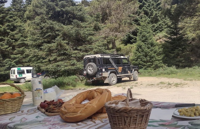 Tour en 4x4 por el Parque Nacional Sierra de las Nieves - Foto 4