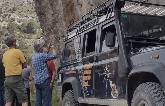 Tour en 4x4 por el Parque Nacional Sierra de las Nieves - Foto 6