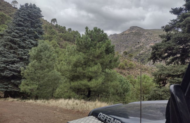 Tour en 4x4 por el Parque Nacional Sierra de las Nieves - Foto 1