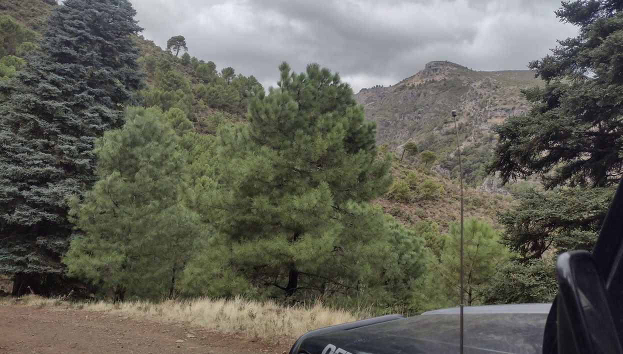 Tour en 4x4 por el Parque Nacional Sierra de las Nieves - Foto 1