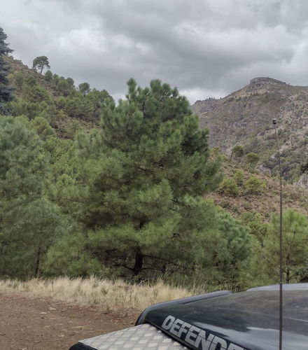 Bild - Tour en 4x4 por el Parque Nacional Sierra de las Nieves
