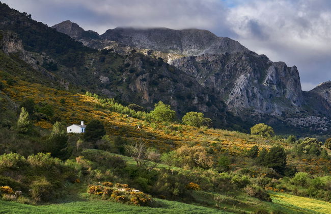 Tour del Parco Nazionale Sierra de las Nieves in 4x4 - Foto 7